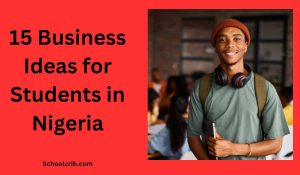 Business Ideas for Students in Nigeria