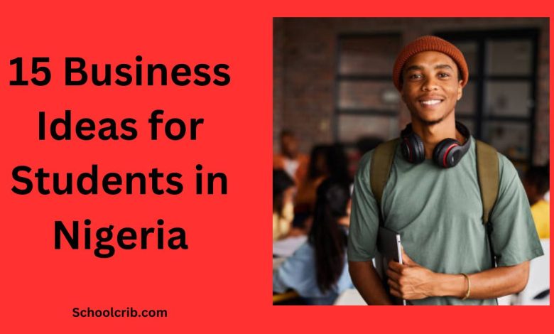 15-business-ideas-for-students-in-nigeria