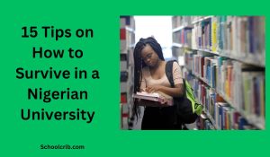 How to Survive in a Nigerian University