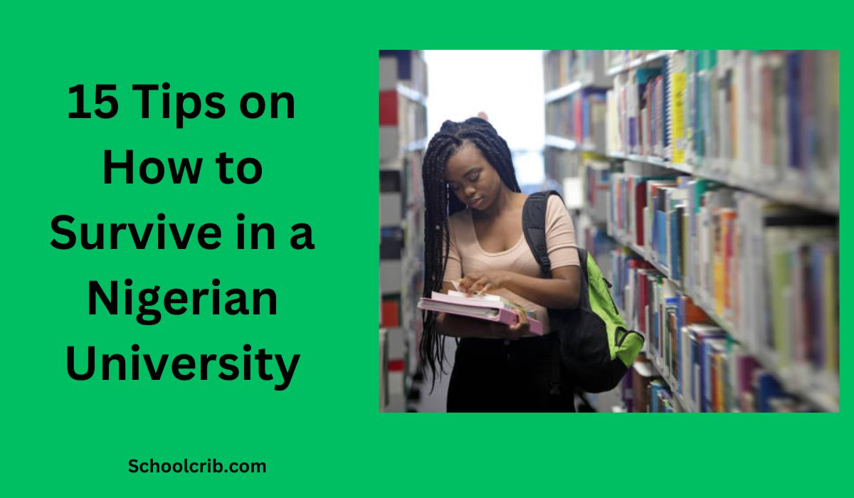 How to Survive in a Nigerian University