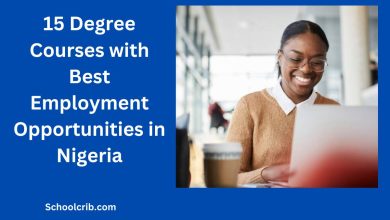 Degree Courses with Best Employment Opportunities in Nigeria