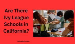 Are There Ivy League Schools in California