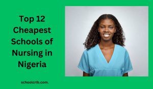 Cheapest Schools of Nursing in Nigeria