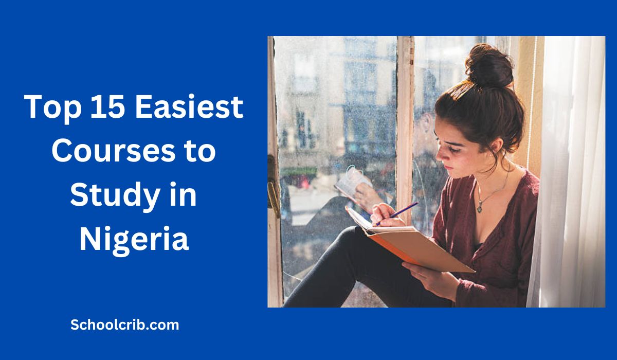 Easiest Courses to Study in Nigeria
