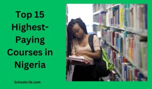 Highest-Paying Courses in Nigeria