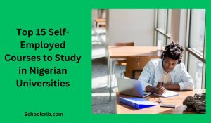 Self-Employed Courses to Study in Nigerian Universities