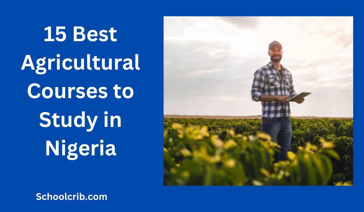 Best Agricultural Courses to Study in Nigeria