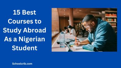 Best Courses to Study Abroad As a Nigerian Student