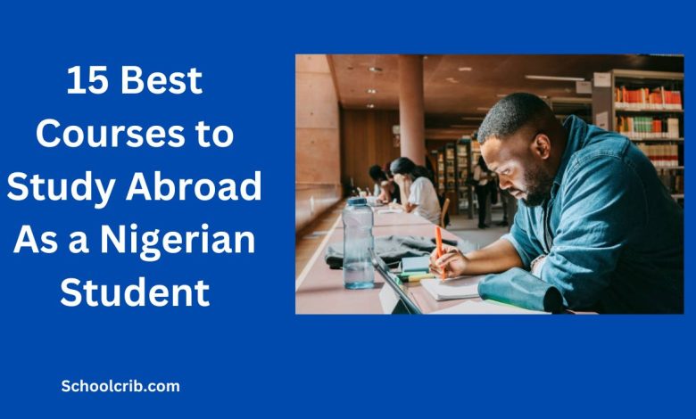 15-best-courses-to-study-abroad-as-a-nigerian-student