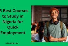 Best Courses to Study in Nigeria for Quick Employment