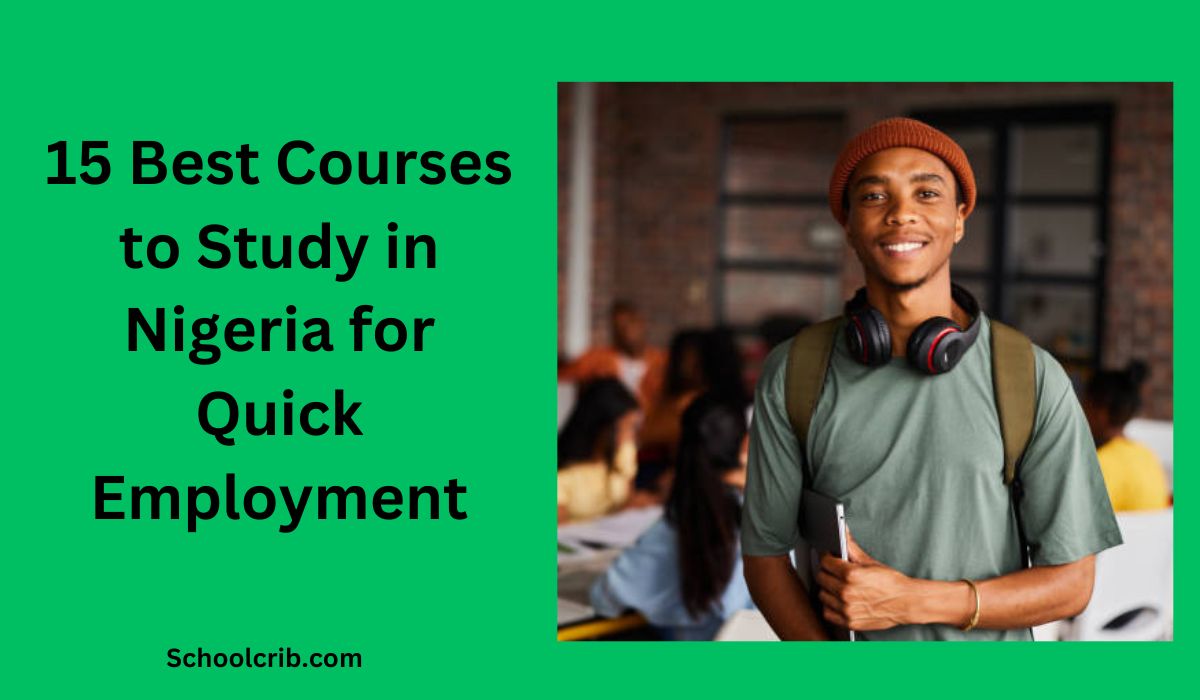 Best Courses to Study in Nigeria for Quick Employment