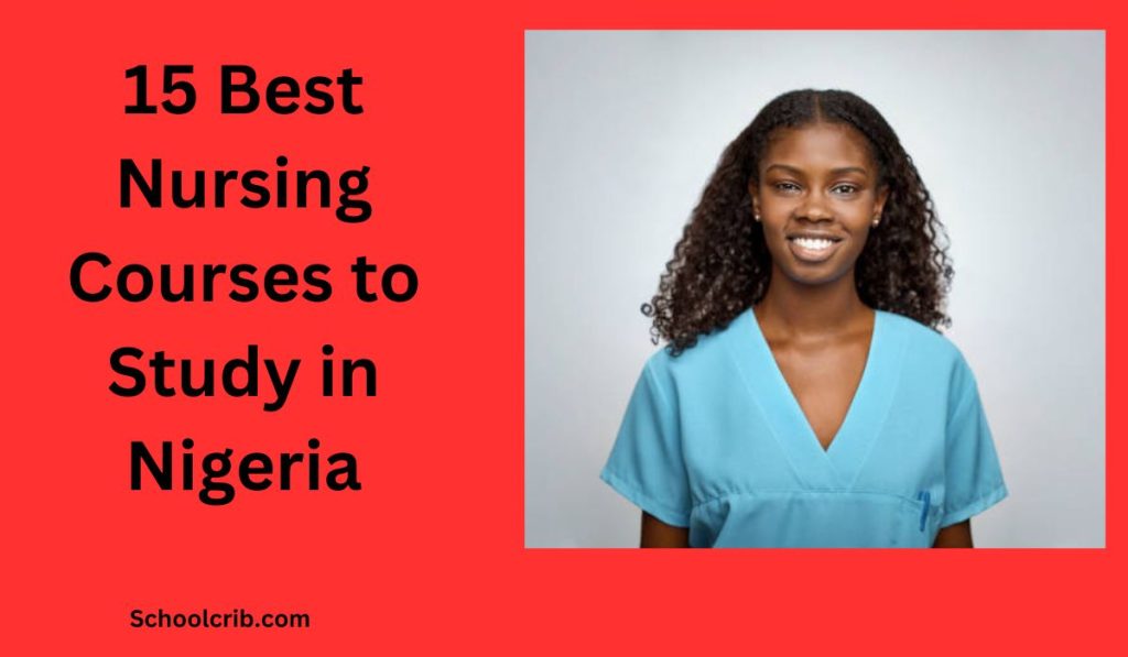 courses for nursing students in nigeria