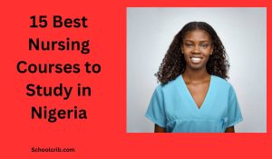 Best Nursing Courses to Study in Nigeria