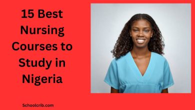Best Nursing Courses to Study in Nigeria