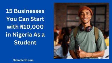 Businesses You Can Start with ₦10,000 in Nigeria As a Student