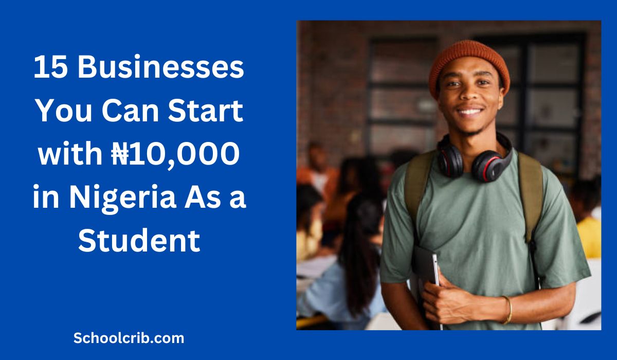 Businesses You Can Start with ₦10,000 in Nigeria As a Student