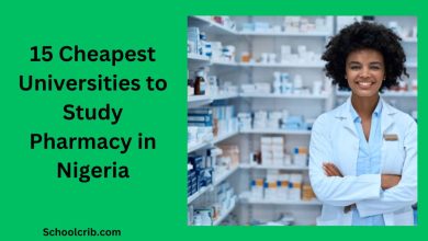 Cheapest Universities to Study Pharmacy in Nigeria