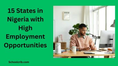 States in Nigeria with High Employment Opportunities