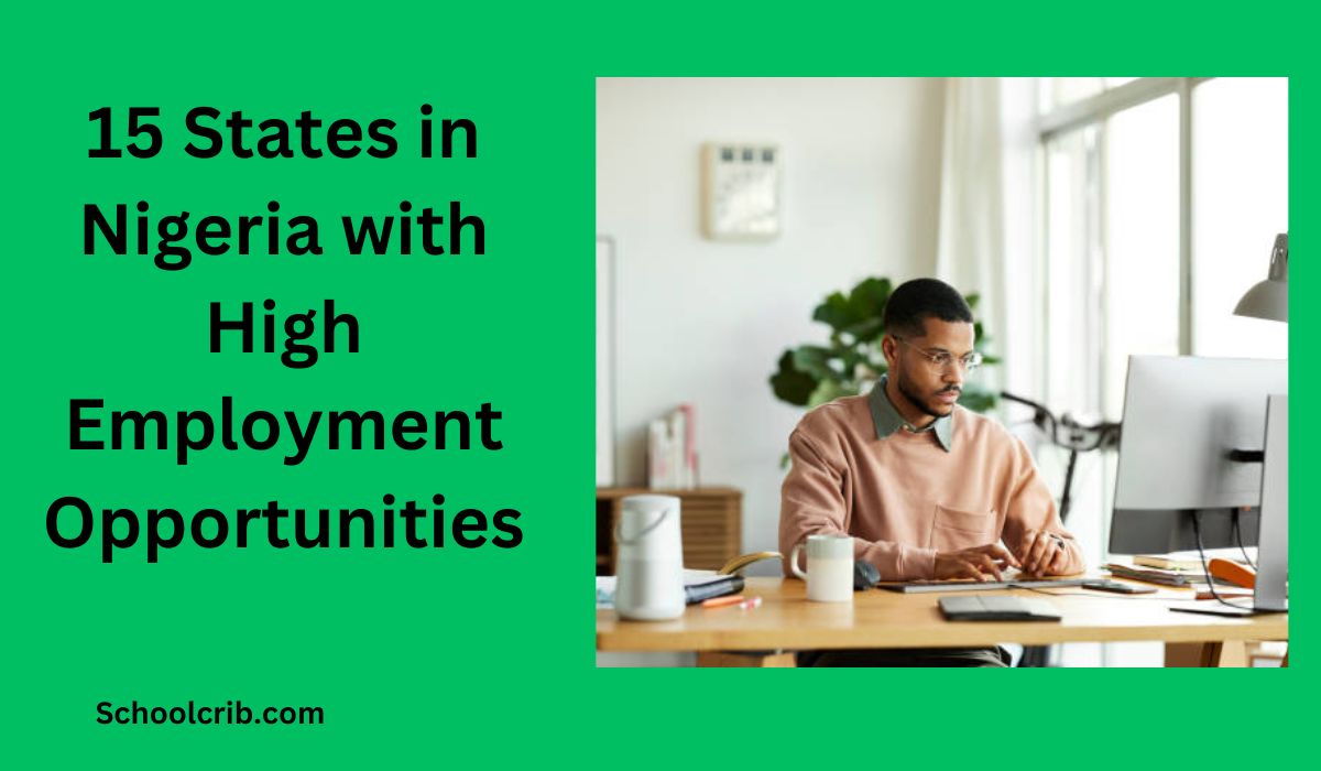 States in Nigeria with High Employment Opportunities