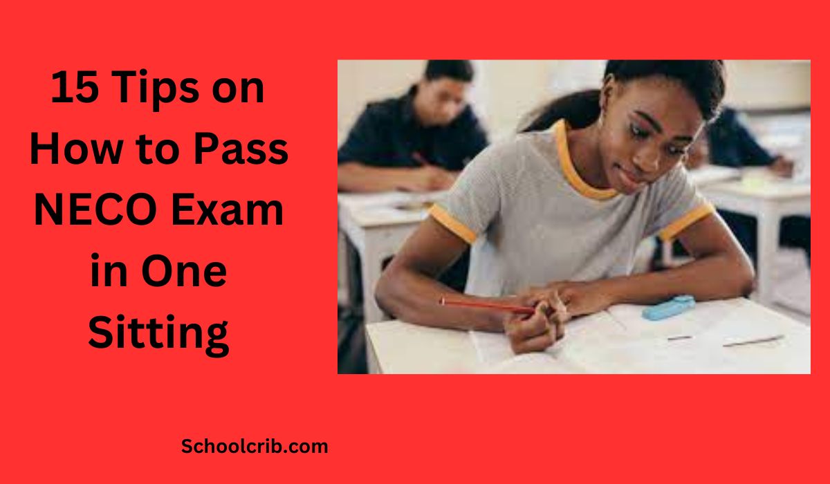 How to Pass NECO Exam in One Sitting