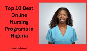 Best Online Nursing Programs in Nigeria