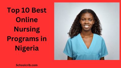 Best Online Nursing Programs in Nigeria