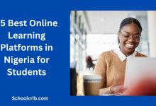 Best Online Learning Platforms in Nigeria for Students