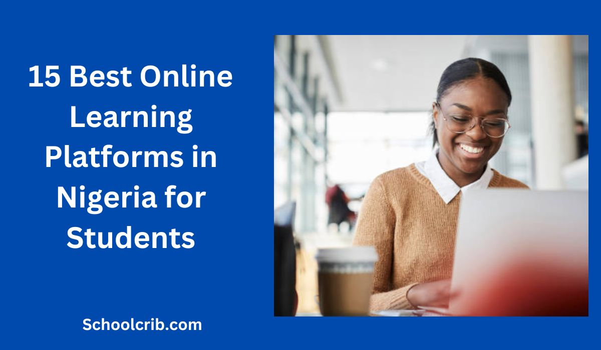 Best Online Learning Platforms in Nigeria for Students
