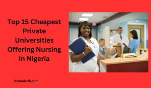 Cheapest Private Universities Offering Nursing in Nigeria