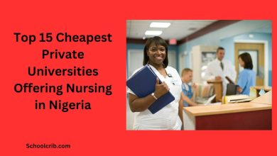 Cheapest Private Universities Offering Nursing in Nigeria